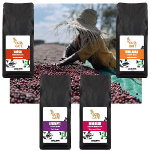 Pack découverte 4 cafés arabicas natures x 250g