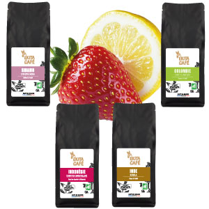 Pack découverte 4 cafés bio arabicas fruités x 250g